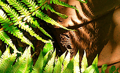 ddos攻击ip软件下载